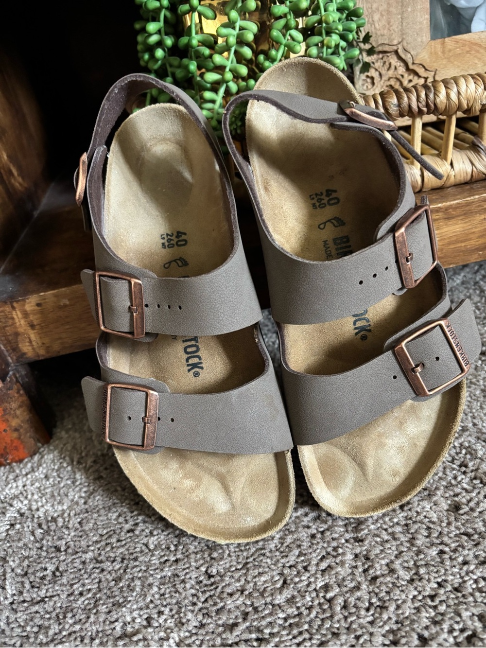 Birkenstock Milano Arizona sandals in mocha